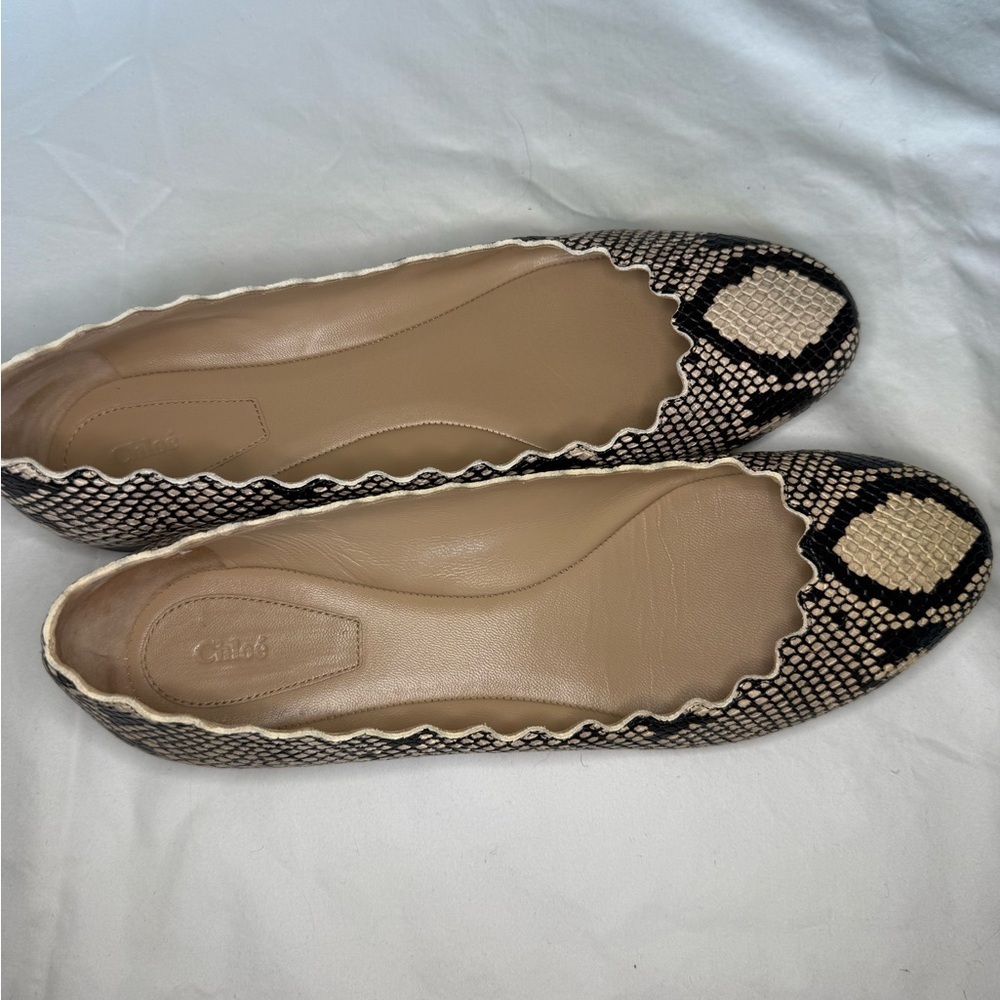 Chloe Snakeskin Patterned Women's Flats - Picture 3 of 9